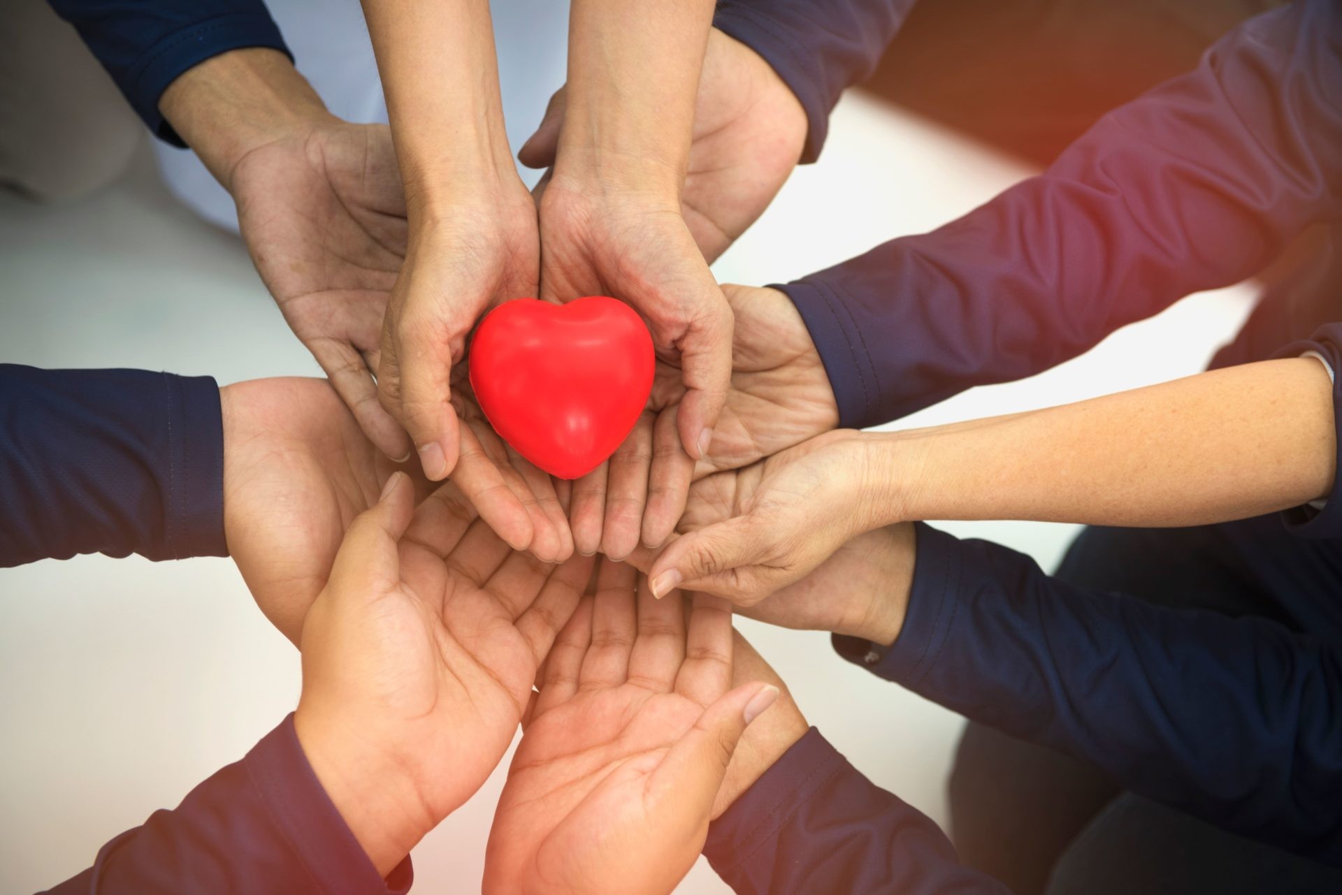 Group of hands holding a fake heart